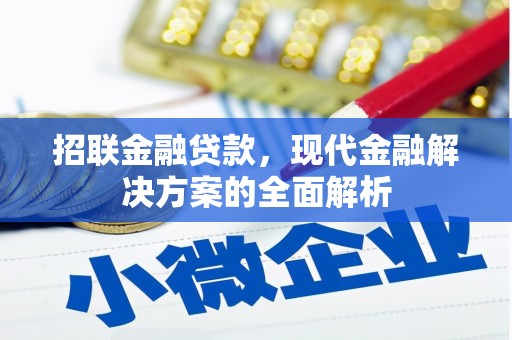 昭平招联金融贷款，现代金融解决方案的全面解析