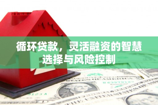昭平循环贷款，灵活融资的智慧选择与风险控制