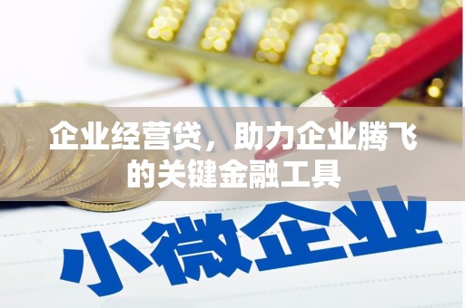 昭平企业经营贷，助力企业腾飞的关键金融工具