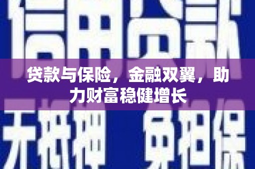昭平贷款与保险，金融双翼，助力财富稳健增长