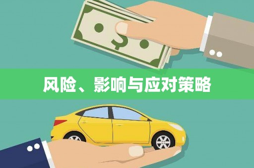 昭平风险、影响与应对策略