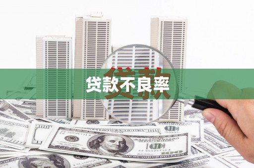 昭平贷款不良率