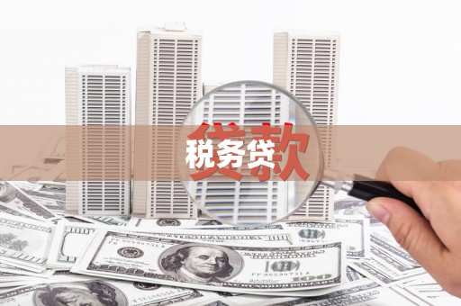 昭平税务贷