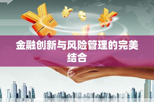 昭平金融创新与风险管理的完美结合
