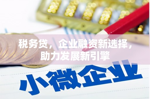 昭平税务贷，企业融资新选择，助力发展新引擎