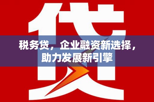 昭平税务贷，企业融资新选择，助力发展新引擎