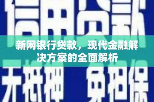 昭平新网银行贷款，现代金融解决方案的全面解析