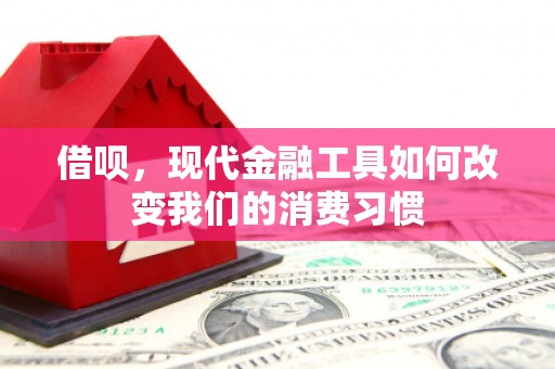 昭平借呗，现代金融工具如何改变我们的消费习惯