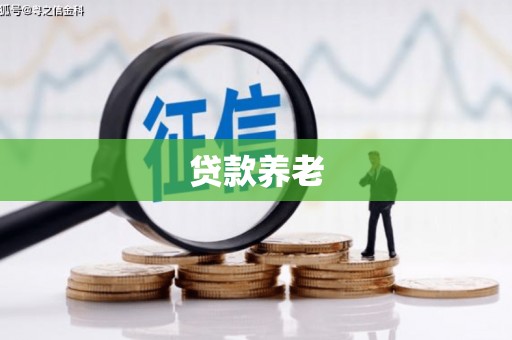 昭平贷款养老