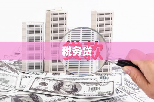 昭平税务贷