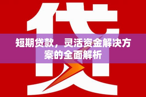 昭平短期贷款，灵活资金解决方案的全面解析