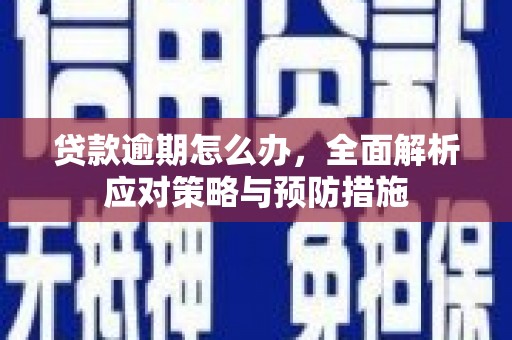昭平贷款逾期怎么办，全面解析应对策略与预防措施