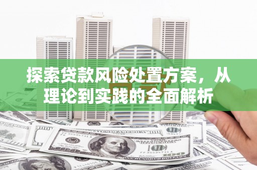 昭平探索贷款风险处置方案，从理论到实践的全面解析