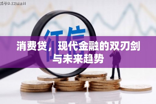 昭平消费贷，现代金融的双刃剑与未来趋势