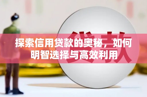 昭平探索信用贷款的奥秘，如何明智选择与高效利用