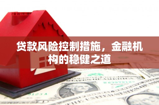 昭平贷款风险控制措施，金融机构的稳健之道