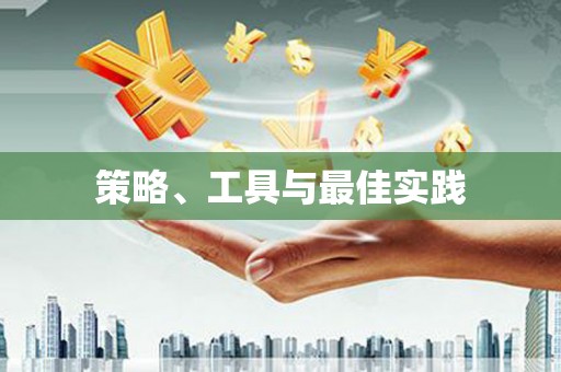 昭平策略、工具与最佳实践