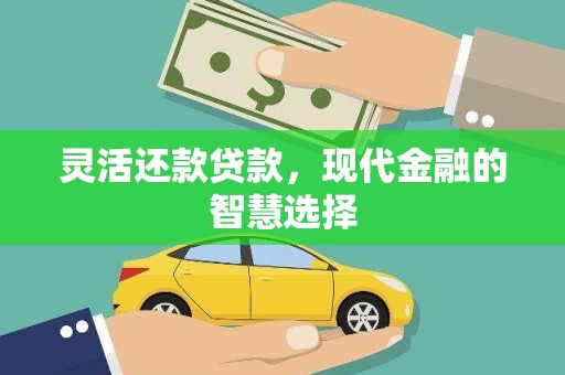 昭平灵活还款贷款，现代金融的智慧选择