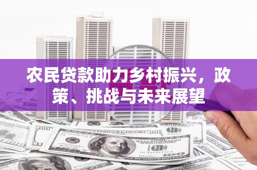 昭平农民贷款助力乡村振兴，政策、挑战与未来展望