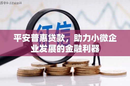 昭平平安普惠贷款，助力小微企业发展的金融利器