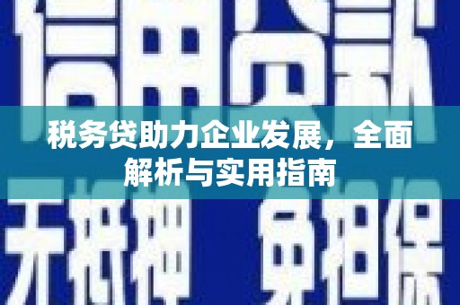 昭平税务贷助力企业发展，全面解析与实用指南