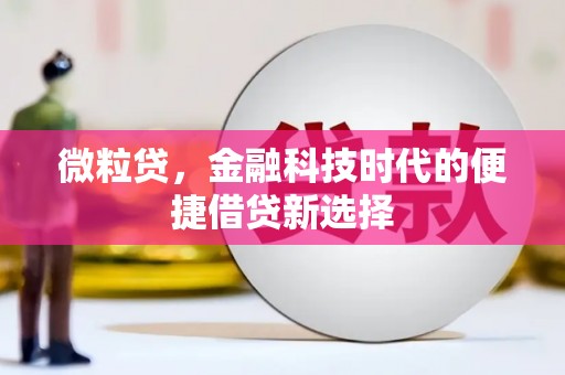 昭平微粒贷，金融科技时代的便捷借贷新选择