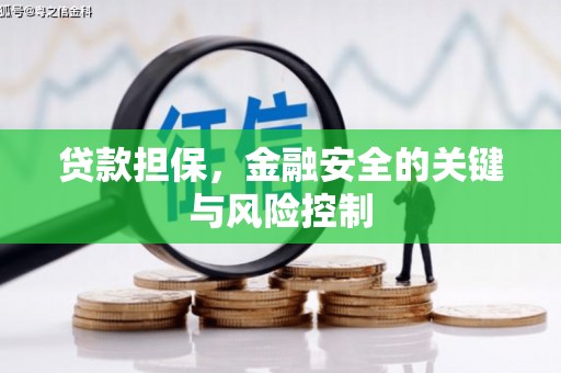 昭平贷款担保，金融安全的关键与风险控制