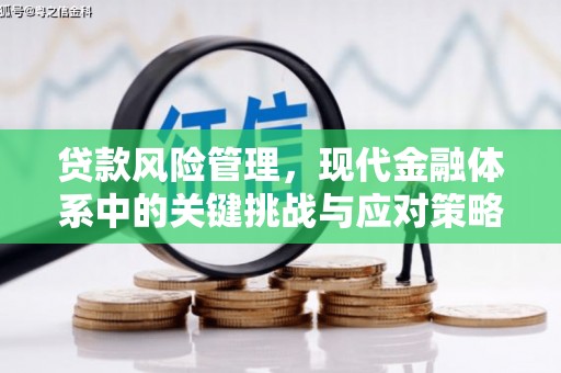 昭平贷款风险管理，现代金融体系中的关键挑战与应对策略