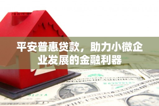 昭平平安普惠贷款，助力小微企业发展的金融利器