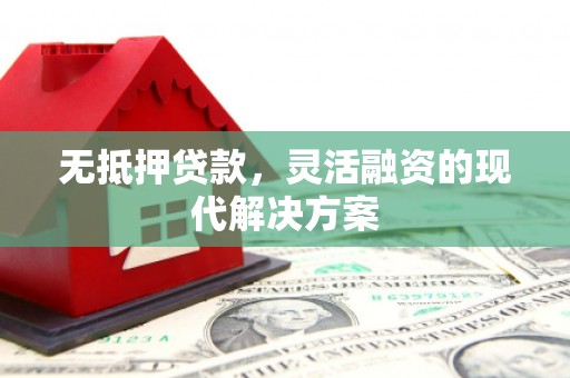 昭平无抵押贷款，灵活融资的现代解决方案