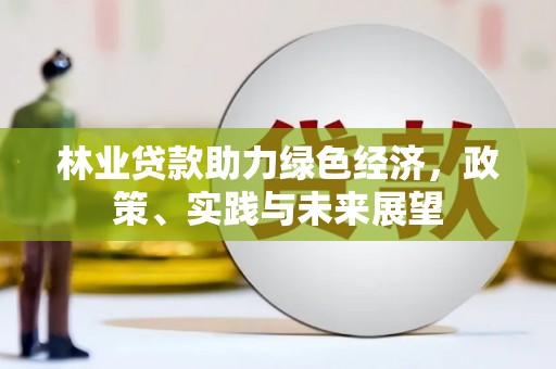 昭平林业贷款助力绿色经济，政策、实践与未来展望