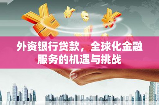 昭平外资银行贷款，全球化金融服务的机遇与挑战