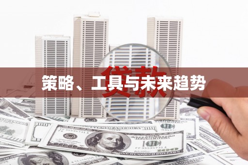 昭平策略、工具与未来趋势