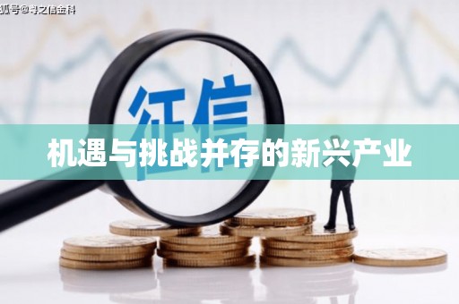 昭平机遇与挑战并存的新兴产业