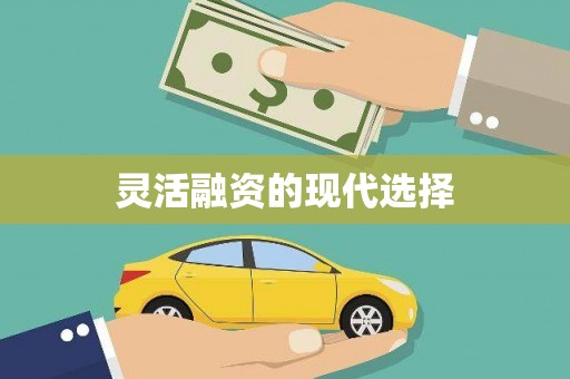 昭平灵活融资的现代选择