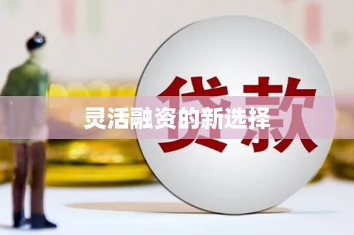 昭平灵活融资的新选择