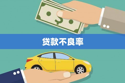 昭平贷款不良率