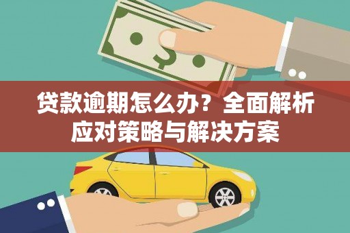 昭平贷款逾期怎么办？全面解析应对策略与解决方案