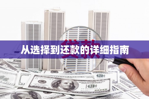 昭平从选择到还款的详细指南
