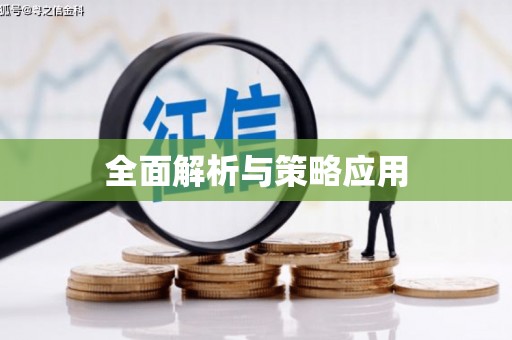 昭平全面解析与策略应用