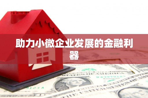 昭平助力小微企业发展的金融利器