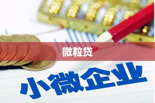 昭平微粒贷