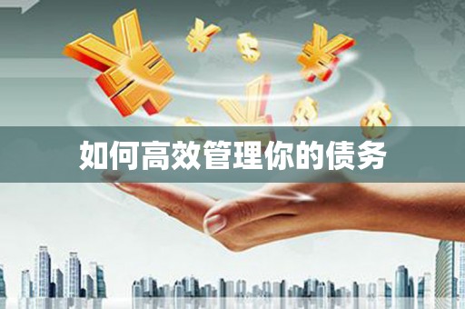 昭平如何高效管理你的债务