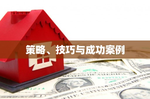 昭平策略、技巧与成功案例