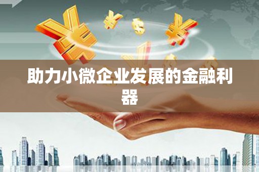 昭平助力小微企业发展的金融利器