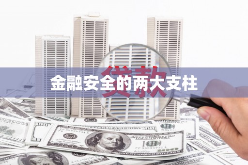 昭平金融安全的两大支柱