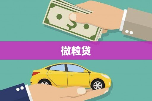 昭平微粒贷
