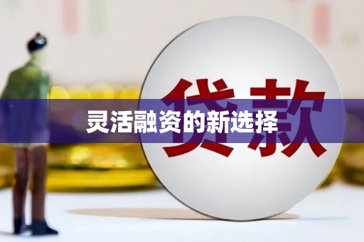 昭平灵活融资的新选择