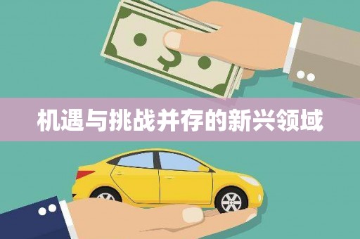 昭平机遇与挑战并存的新兴领域