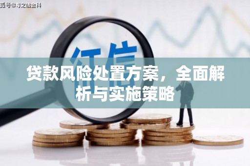 昭平贷款风险处置方案，全面解析与实施策略